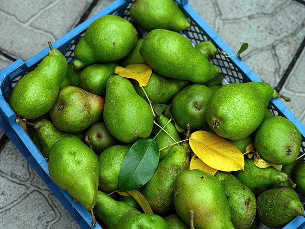 In local Asian markets, you can find organic fruits and vegetables like pomelo, freshly picked from nearby farms, guaranteed to be free of harmful chemicals and packed with nutrients.