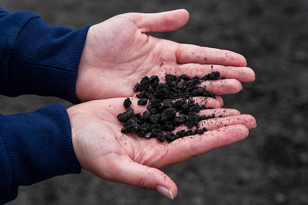 istock Closeup of human hands holding rocks 2245861686