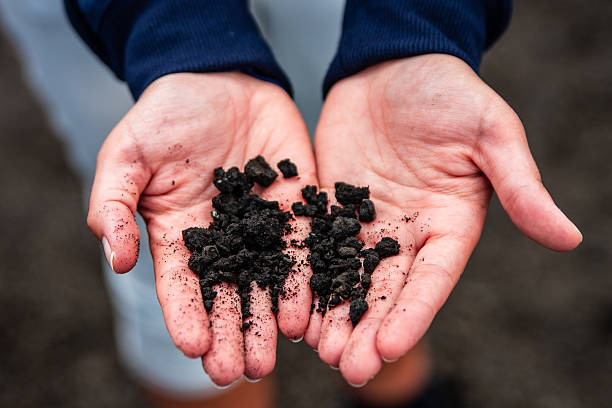 istock Closeup of human hands holding rocks 2245861774