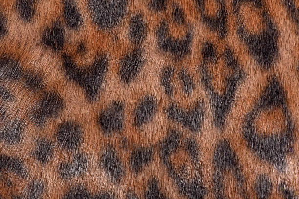 Dark leopard faux fur macro photo as a background. Horizontal leopard background.