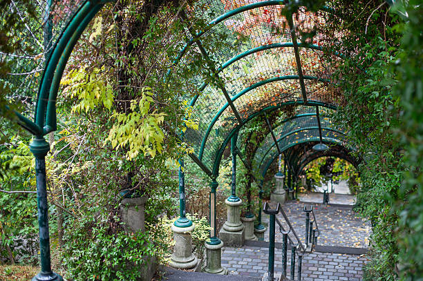 Trellise and paving stones in the park