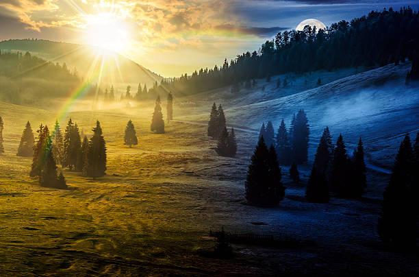 istock spruce forest on mountain hill side in fog 2245870428