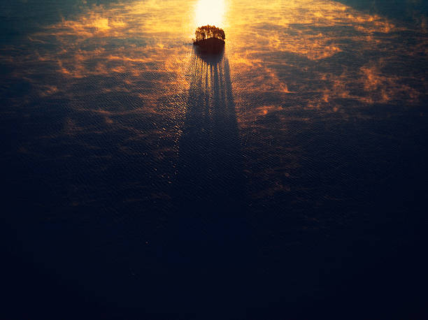 Long shadows from the trees of a small island in sunlight on a cold morning at sunrise with veils of mist.