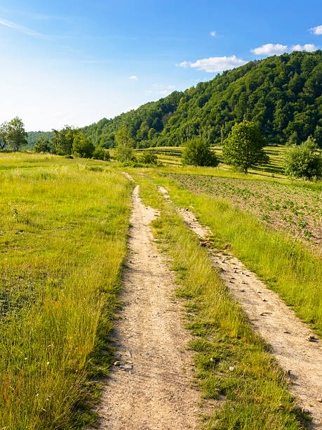 istock dirt road through field in mountains 2245877269