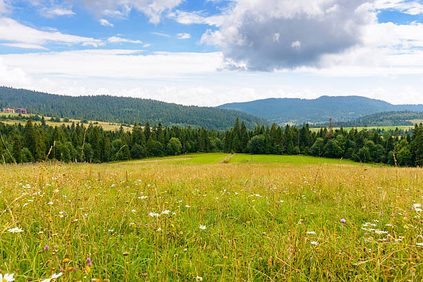 istock mountainous countryside in summer 2245877325