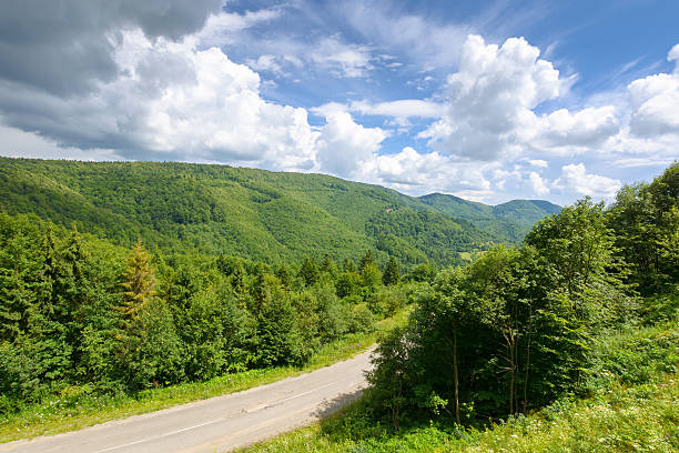 road through mountain landscape in summer. scenic view from above. green nature scenery in dappled light under cloudy sky. beautiful valley with pass winding between forest
