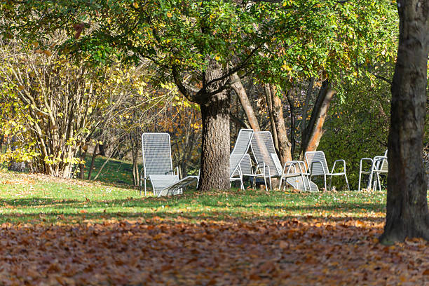 Empty metal lounge chairs sit beneath leafy trees in a quiet park. Low autumn sun paints soft shadows.