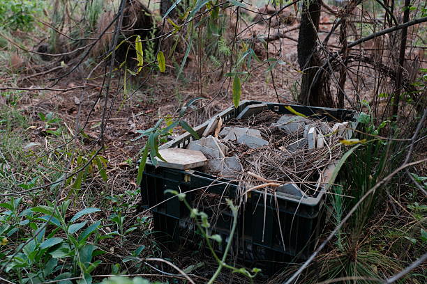 istock Abandoned Plastic Crate Filled with Tiles in Overgrown Vegetation 2245880317
