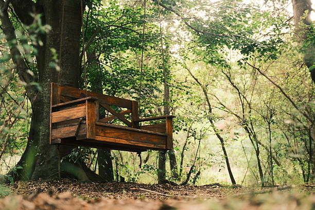istock Wooden Swing Bench Hanging from a Tree in a Forest 2245880384