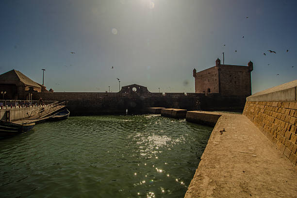 A panoramic view of the harbor in Essaouira, Morocco, showing the historic Skala de la Ville fort and seawalls glistening under bright sunlight. The calm green water and scattered seagulls capture the coastal tranquility and maritime heritage of this UNESCO World Heritage city on Morocco’s Atlantic coast.