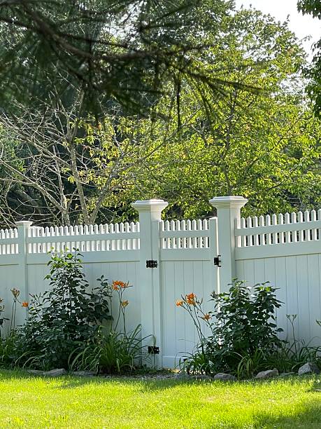 istock Summer fence protecting the pool 2245883265