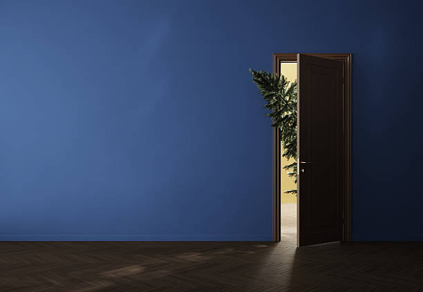 istock Empty wall with open door and christmas tree. A Christmas tree peeks out from the half-open door. 2245885174