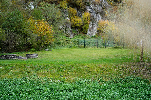 Bright green lawn and golden trees
