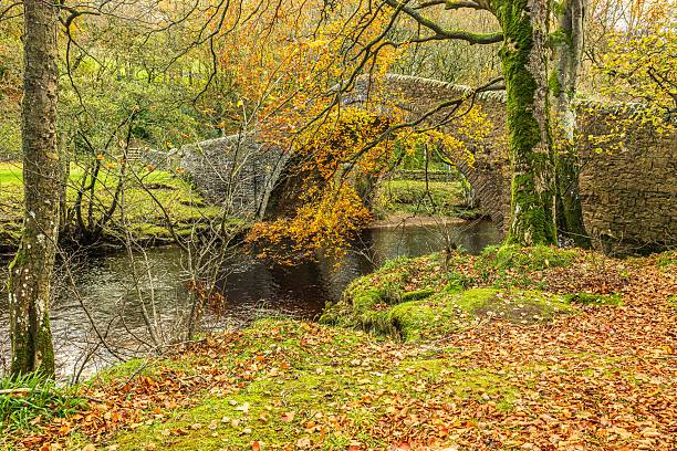 Ivelet Bridge in Autumn with the River Swale flowing beneath the bridge and beech trees dropping beautiful golden leaves.  Gunnerside, Yorkshire Dales, UK, Copy space, horizontal.