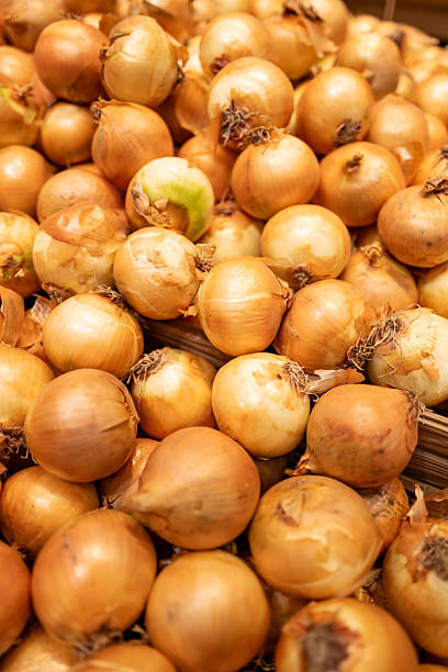 Supermarket Onion Display – Voluminous Food Background