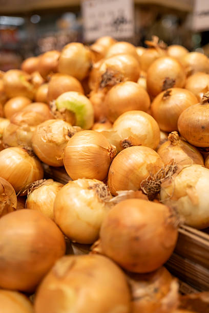 Supermarket Onion Display – Voluminous Food Background