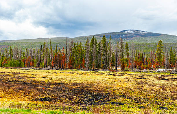 istock Rocky Mountain National Park 2245896799