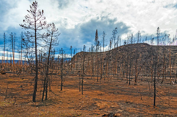 istock Rocky Mountain National Park 2245897375