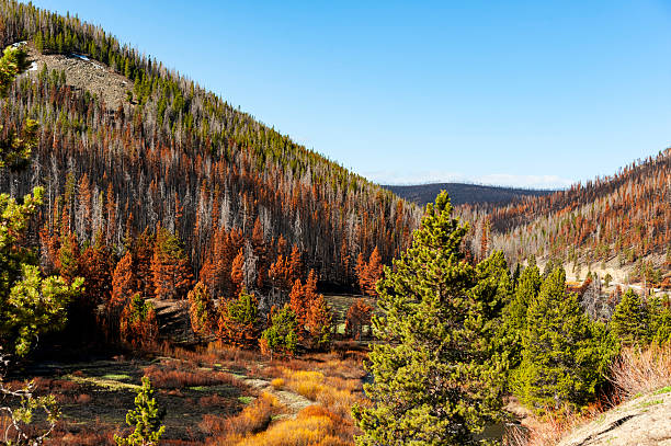 istock Rocky Mountain National Park 2245897380