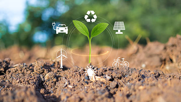 istock Sustainable Growth and Renewable Energy Concept 2245901682