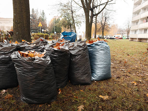 istock Yard Cleanup with Yellow Autumn Leaves 2245902764