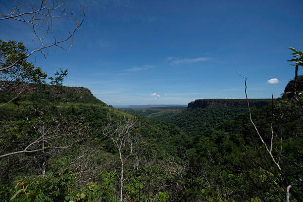 istock Panoramic view of the valley 2245902778
