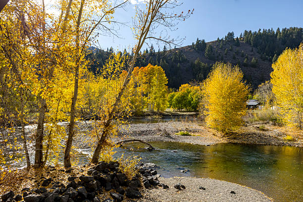 Autumn in Sun Valley Idaho