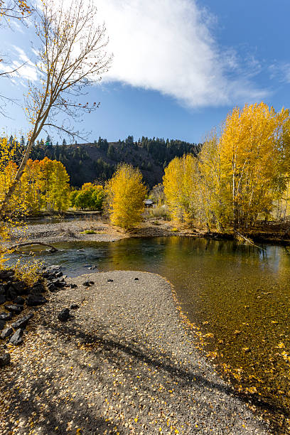 istock Autumn in Sun Valley Idaho 2245905592