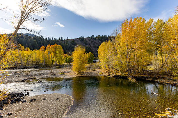 istock Autumn in Sun Valley Idaho 2245905640