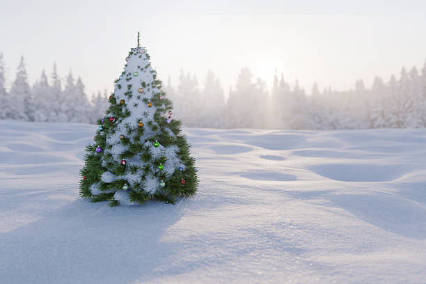 istock illuminated Christmas tree stands in a snowy field at sunset. decorated Christmas tree stands alone in a vast, pristine snow field with snowdrifts and a blurred 2245907559