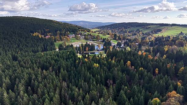 istock expansive aerial perspective showcasing tranquil village within dense wooded terrain and open fields 2245911339