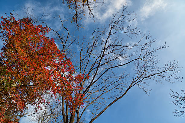 Bukhansan Mountain, Seoul Korea