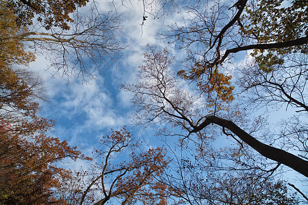 Bukhansan Mountain, Seoul Korea