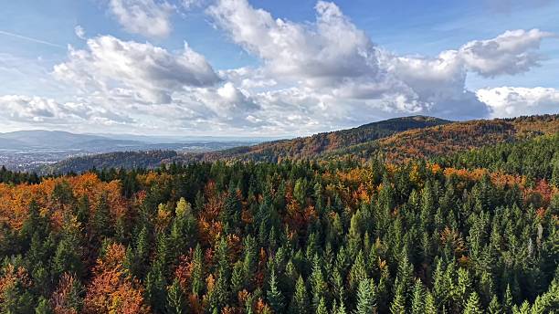 istock colorful ridge overlooking lush valley, bright scenic ridge adorned with fall foliage and expansive 2245912911