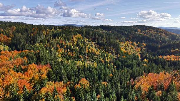 istock brilliant panoramic shot capturing lively autumn colors and evergreen trees over rolling terrain 2245913837