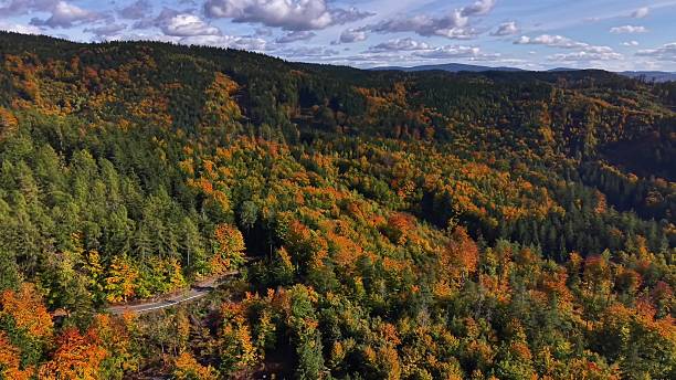 istock vivid fall landscape, picturesque ridge walkway surrounded by lively fall trees and distant valleys 2245914398