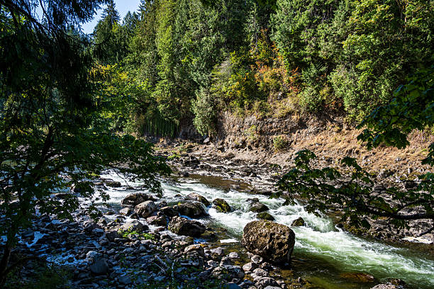 A beautiful hiking trail begins at the upper Snoqualmie Falls and leads down to the lower river.