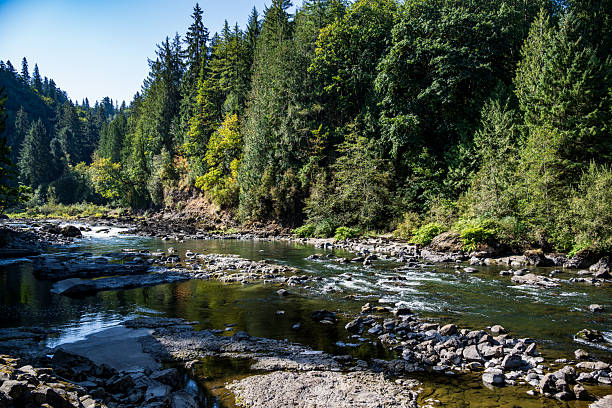 A beautiful hiking trail begins at the upper Snoqualmie Falls and leads down to the lower river.