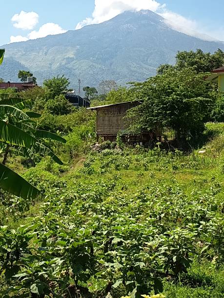 istock Tranquil mountain scenery with lush vegetation and a rustic bamboo hut evokes a sense of peace and natural beauty for travel and lifestyle inspiration 2245918966