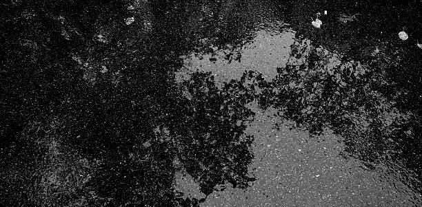MONOCHROM SENSOR SERIE:This is a panoramic black-and-white image captured with a monochrome sensor. The background is almost entirely black, very deep, with a grainy texture reminiscent of wet asphalt or a rough surface seen at night. Scattered across it are small irregular white spots of varying sizes, looking like water droplets caught in a flash or luminous fragments floating in the void. The contrasts are extreme: the bright areas are sharp and glowing, while the rest sinks into pure black, giving a feeling of infinite space or a photographic nebula. ►This panoramic monochrome image, is an ocean of nocturnal asphalt where droplets of light drift like fallen stars or frozen moon-tears. • Its extreme contrast and grainy texture make it raw material of rare poetic power. Authentic image  by pictore, free of AI