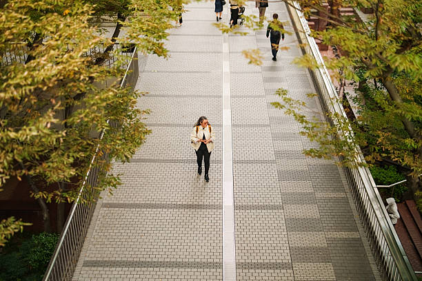 High-angle view of a woman walking along a tree-lined pedestrian path in a contemporary city. The symmetry of the walkway, surrounding greenery and distant people convey themes of daily routine, urban solitude, morning commute, lifestyle and modern infrastructure.