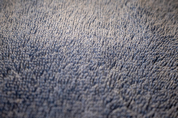 Extreme close-up of a blue fabric surface. The detailed, fibrous texture with selective focus creates a soft and abstract background for design or text.