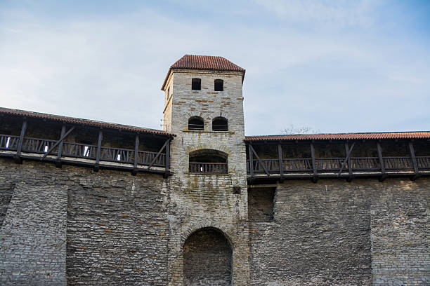 Medieval defensive walls of Tallinn, Saunatorn.