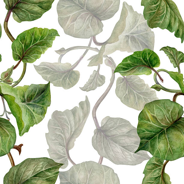 Green kiwi leaves and branches on a seamless pattern on a white background. A spring botanical template for home, children's, and kitchen textiles, wrapping paper, packaging, wallpaper, scrapbooking, and jam, beverage, and food packaging.