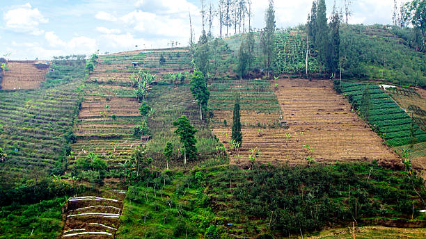 istock Ngadas Village Panorama 2245945479
