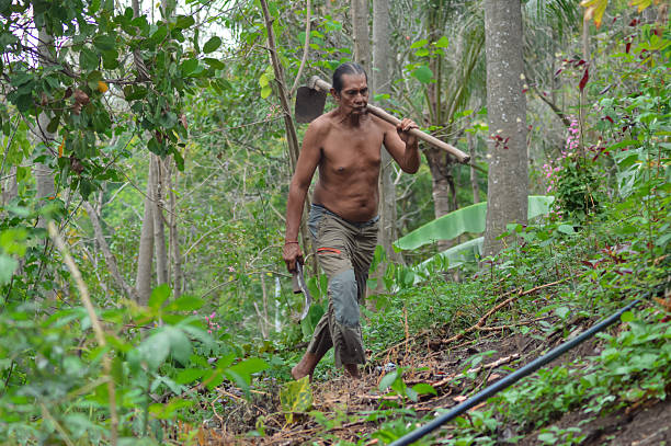 istock Shirtless Farmer Father Walking Uphill Through Dense Sloping Field 2245948810