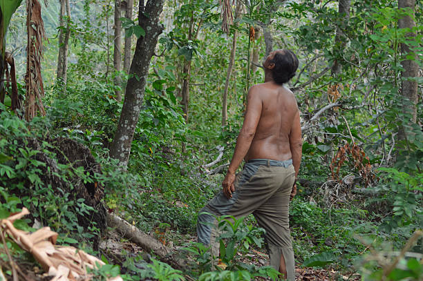 A shirtless farmer stands in his sloping rural field, looking up toward the tall tree canopy above, surrounded by lush tropical greenery and wild undergrowth.