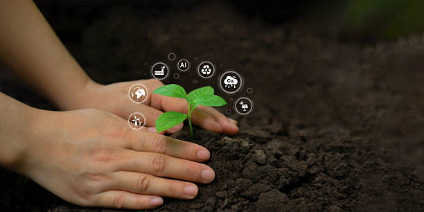 istock Hands Planting Sapling with Green Technology Icons 2245952268