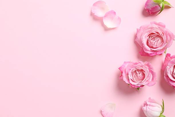 istock Beautiful composition with pink roses on color background 2245952670