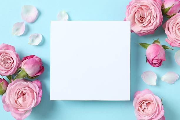 istock Festive background with pink roses and white paper card 2245952704